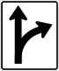 Option sign for Right turn or Straight &mdash; Regulatory sign &mdash; Lane Usage and Turns Signs (MUTCD R3-6R)